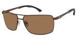 Champion Eyeglasses DIVE MATTE DARK BRWN/C03