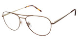 XXL Eyewear Eyeglasses Duhawk Brown/BROWN