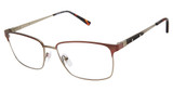 XXL Eyewear Avenger Brown/BROWN