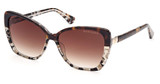 Guess? Eyeglasses GM0819 dark havana / gradient brown/52F
