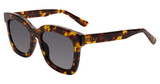 DIFF CARSON Amber Tortoise