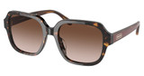 COACH Eyeglasses HC8335U C7989 DARK TORTOISE/512013