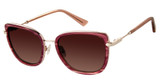 Ann Taylor Eyeglasses ATP922 ROSE HORN/C03