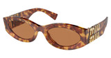 Miu Miu Eyeglasses MU 11WS 0MU 11WS HAVANA/4BW2Z1