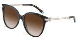 Tiffany Eyeglasses TF4193B HAVANA ON TIFFANY BLUE/81343B