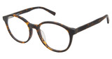 Vision's Eyeglasses PLAFV250 TORTOISE/C02