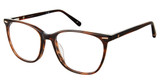 Sperry Eyeglasses CORALINE TORTOISE/C01