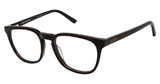 AÉROPOSTALE Eyeglasses AERO1005 Tortoise/TORTOISE