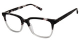 XXL Eyewear Eyeglasses Thresher Havana/HAVANA