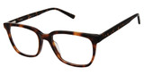 XXL Eyewear Eyeglasses Thresher Tortoise/TORTOISE