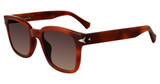 John Varvatos Eyeglasses SJV564 BLONDE HAVANA