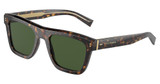 DOLCE & GABBANA Eyeglasses DG4420 HAVANA/502/71