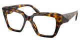 Prada PR 09ZV HONEY TORTOISE/VAU1O1
