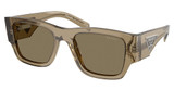 Prada Eyeglasses PR 10ZS BARK/22H90F