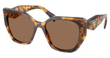 Prada Eyeglasses PR 19ZS HONEY TORTOISE/14L06B
