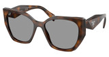 Prada Eyeglasses PR 19ZS JUNIPER TORTOISE/20D50Q