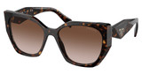Prada Eyeglasses PR 19ZS TORTOISE/2AU6S1