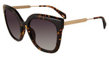 Police Eyeglasses SPLG19 Havana 0909