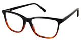 Seven.Five Eyeglasses MOLLY BLACK TORT/C01