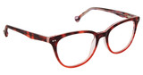 Classique Eyewear Eyeglasses KNOW ME PLUM TORTOISE/C3