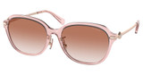 COACH Eyeglasses HC8332D C6199 TRANSPARENT PINK/566613