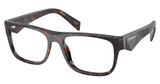 Prada Eyeglasses PR 22ZV ROOT TORTOISE/17N1O1