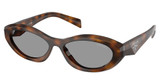 Prada Eyeglasses PR 26ZS JUNIPER TORTOISE/20D50Q
