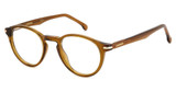 Carrera CARRERA 310 BROWN/009Q