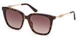 Guess? GU7886 dark havana / gradient brown/52F