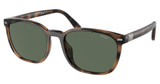 Polo Eyeglasses PH4208U SHINY HAVANA/597471