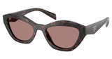 Prada Eyeglasses PR A02S ROOT TORTOISE/17N60B