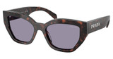Prada Eyeglasses PR A09SF ROOT TORTOISE/17N03N
