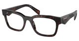Prada Eyeglasses PR A10VF HAVANA RED/17N1O1