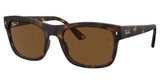 Ray-Ban Eyeglasses RB4428 MATTE HAVANA/894/57