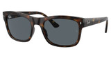 Ray-Ban Eyeglasses RB4428 HAVANA/710/R5