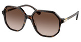 SWAROVSKI Eyeglasses SK6003 HAVANA/100213