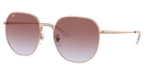 Ray-Ban Eyeglasses RB3680D ROSE GOLD/9202I8