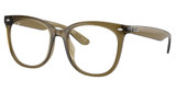 Ray-Ban Rx Eyeglasses RX4379VD TRANSPARENT DARK GREEN/8445