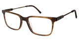 TLG Eyeglasses NU083 BROWN/C01