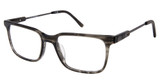TLG Eyeglasses NU083 GREY/C02