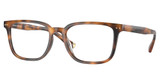 Brooks Brothers BB2065U WARM TORTOISE/6161