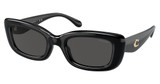 COACH Eyeglasses HC8390U CR610 BLACK/500287