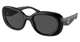 COACH Eyeglasses HC8391U CR609 BLACK/500287