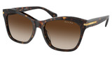 Ralph Eyeglasses RA5310U SHINY DARK HAVANA/500313
