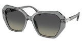 SWAROVSKI Eyeglasses SK6017 TRANSPARENT GREY/106211