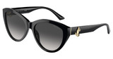 JIMMY CHOO Eyeglasses JC5007F BLACK/50008G