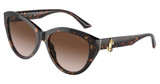 JIMMY CHOO Eyeglasses JC5007F HAVANA/500213