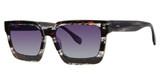 Smilen Elite Eyeglasses 24 S BROWN/ GREY