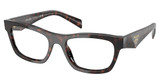 Prada Eyeglasses PR B01V ROOT TORTOISE/17N1O1