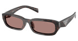 Prada Eyeglasses PR B06SF ROOT TORTOISE/17N60B